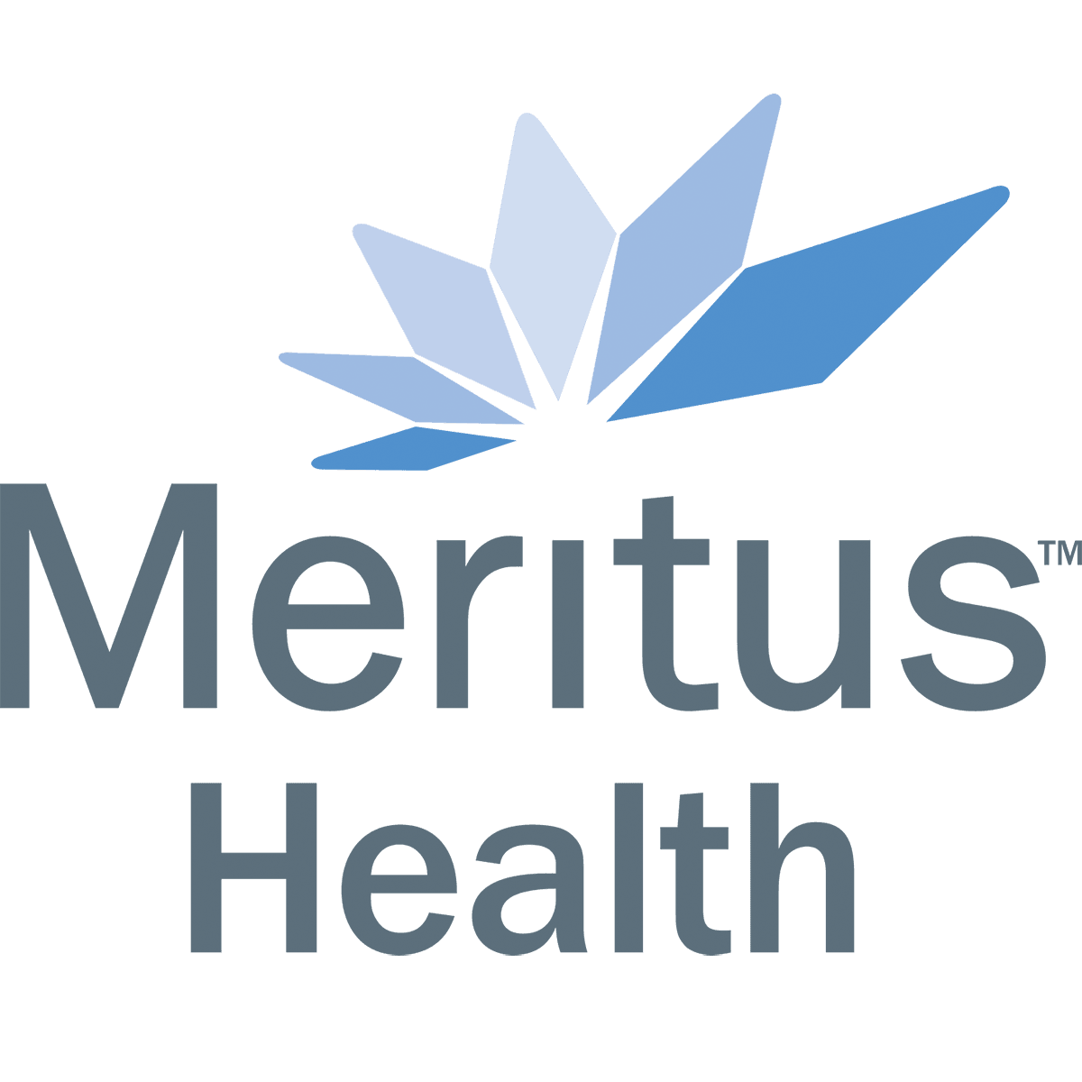 Meritus Health logo