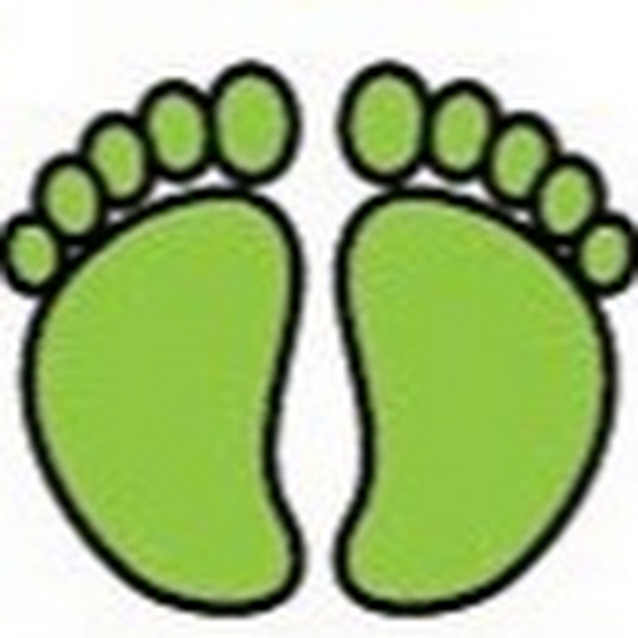 Barefoot Mosquito logo