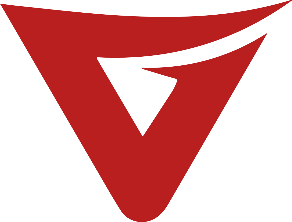 Vertigo Games logo