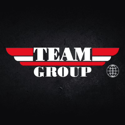 TEAM Group logo