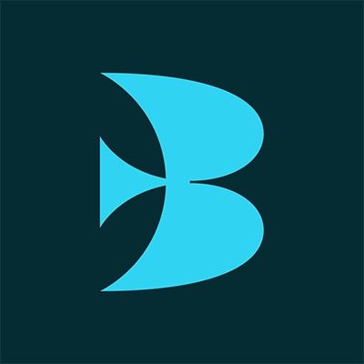 Bluebird Kids logo