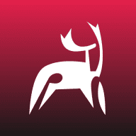 DELAN logo