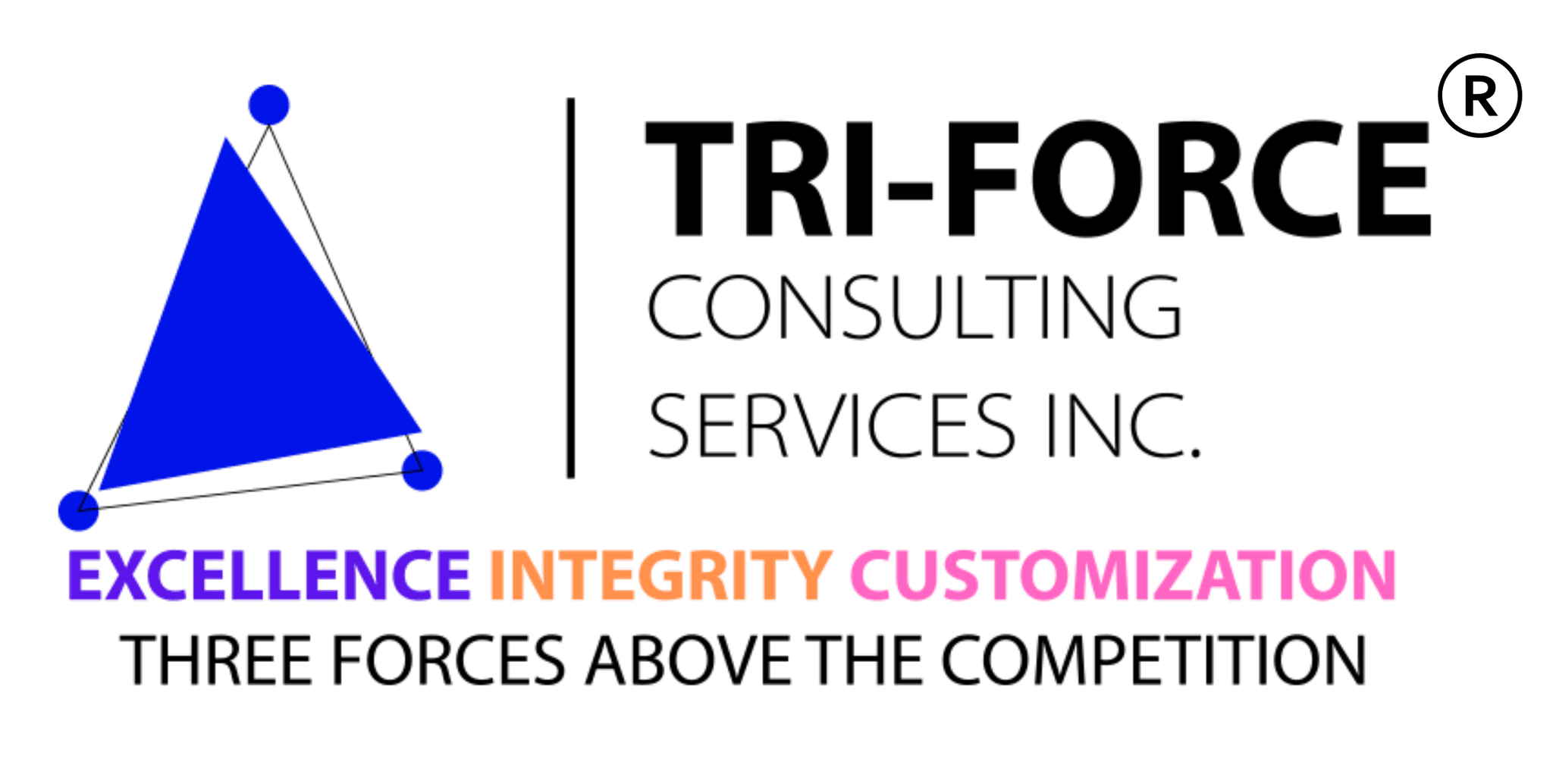 Tri-Force Consulting Services logo