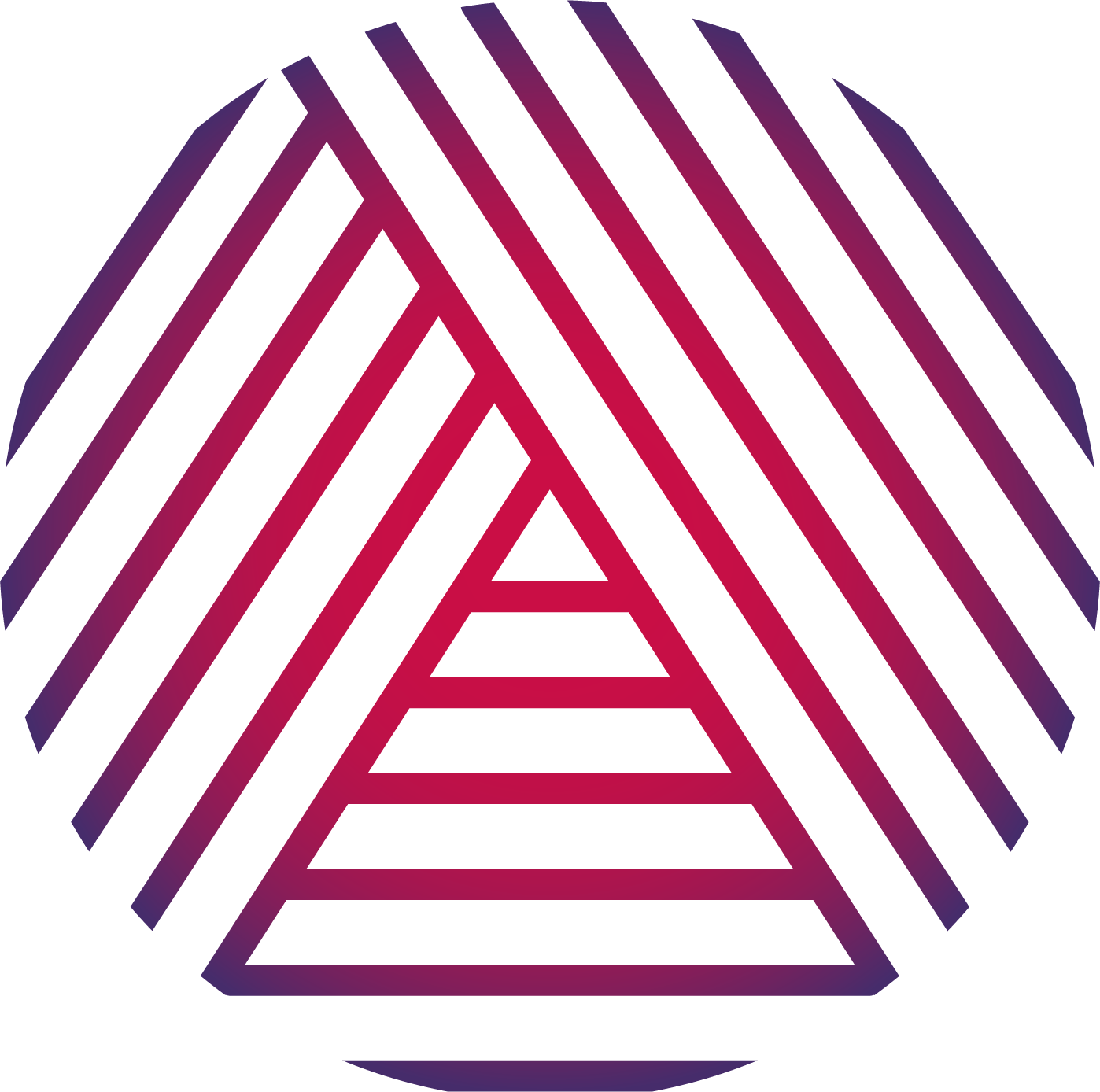 Alphanumeric Systems logo