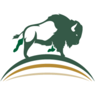 The Bison Group logo