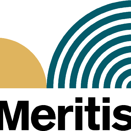 Meritis logo