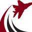 Defense Consulting Services logo