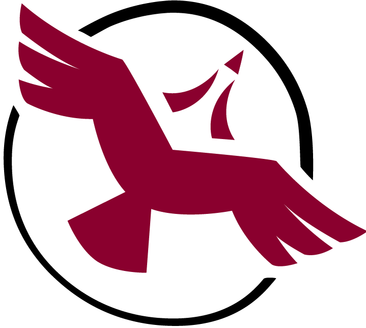 Shared Value Solutions logo