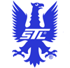 Interco Tire logo
