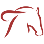 Targa Real Estate Services logo