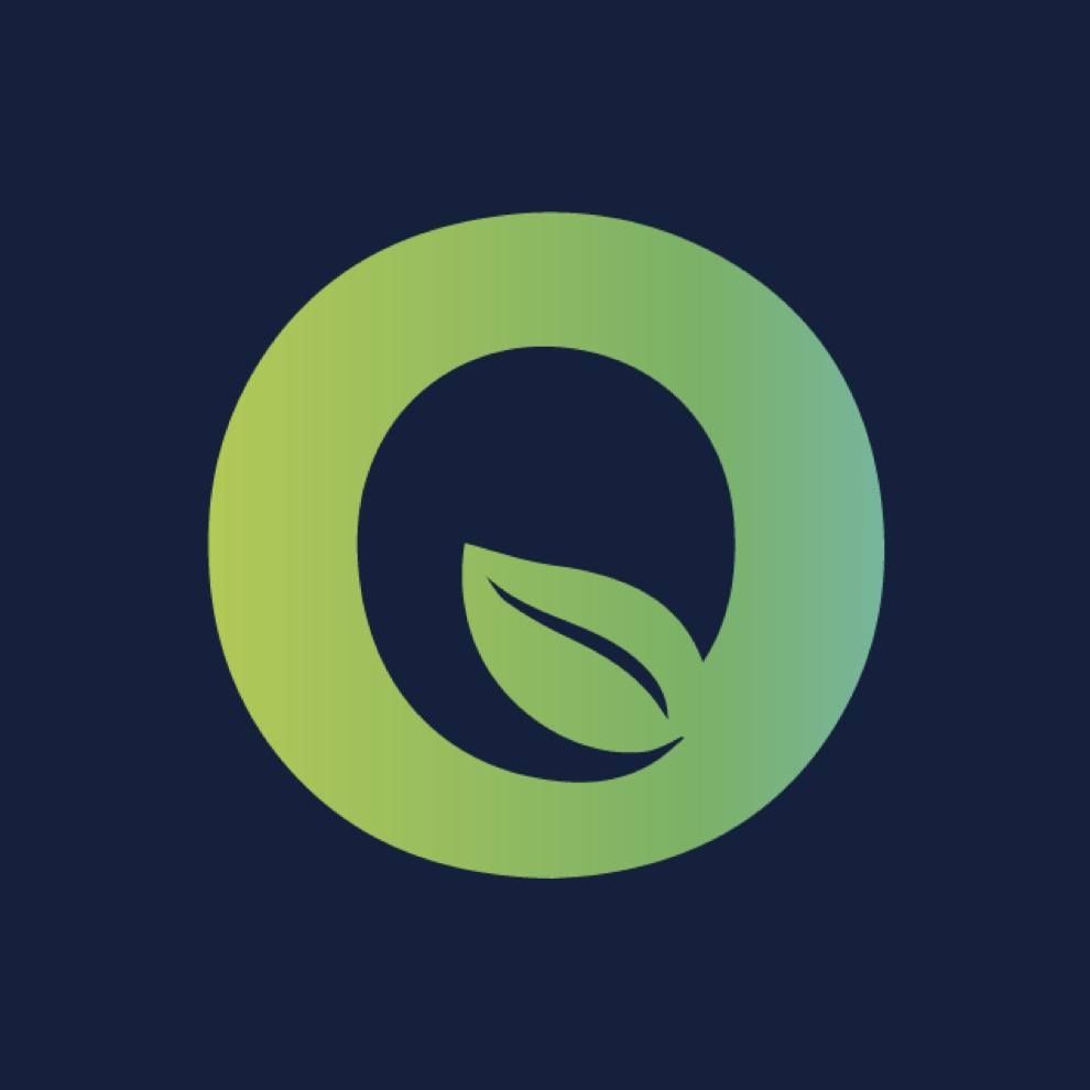 Terra Energy logo