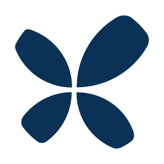 RELEX Solutions logo