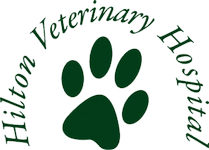 Hilton Vet Hospital logo