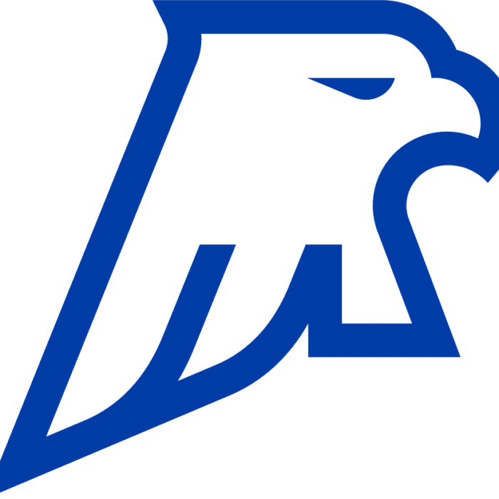 American Equipment Holdings logo