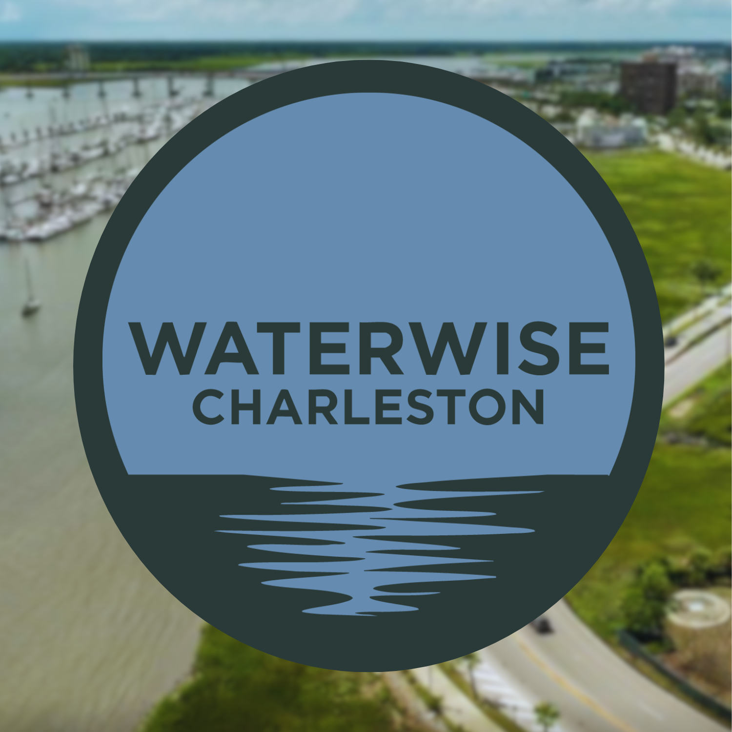 Charleston SC logo