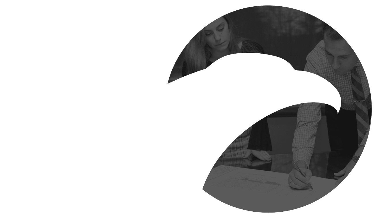 The Falcon Group logo