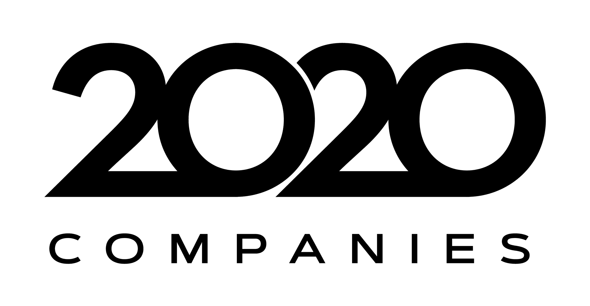 2020 Companies logo