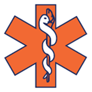 LifeMed Alaska logo