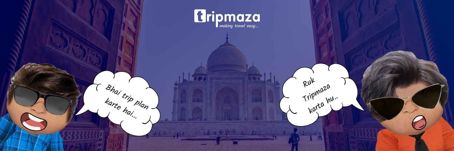 TripMaza logo
