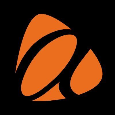 Asher Lasting Exteriors logo