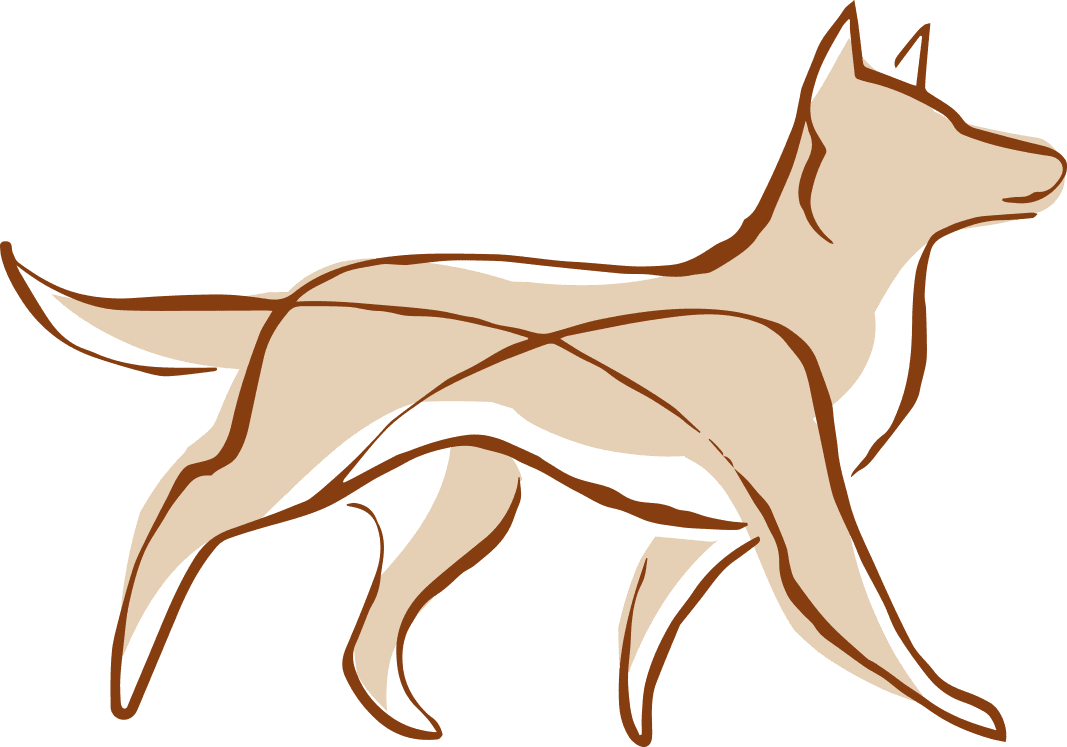 Wolf & Co logo