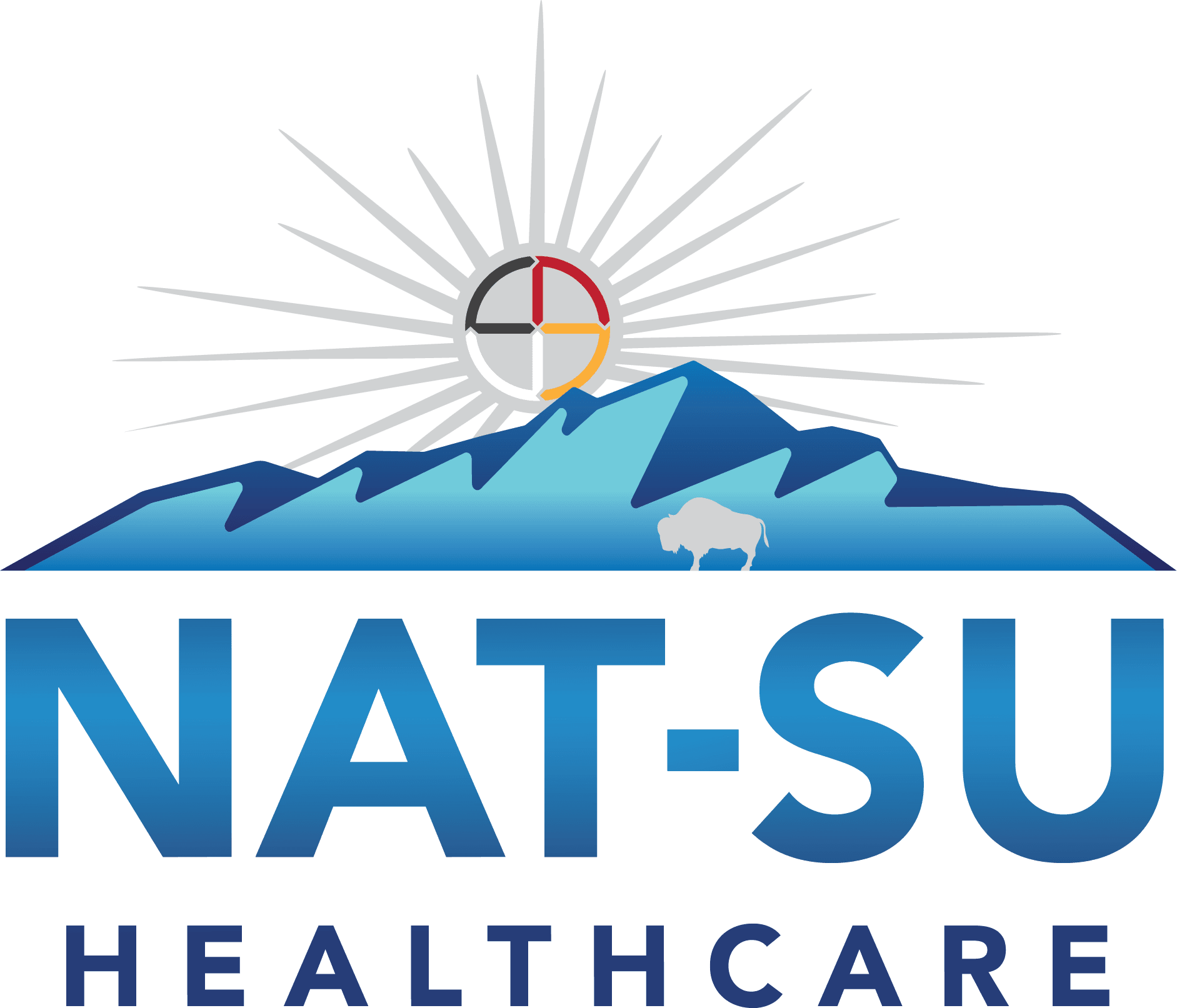 NAT-SU Healthcare logo