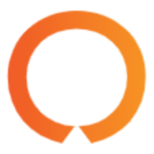 Nous Group logo