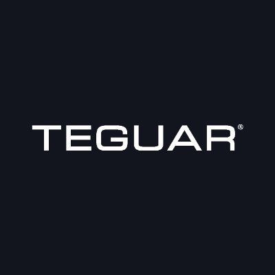Teguar logo