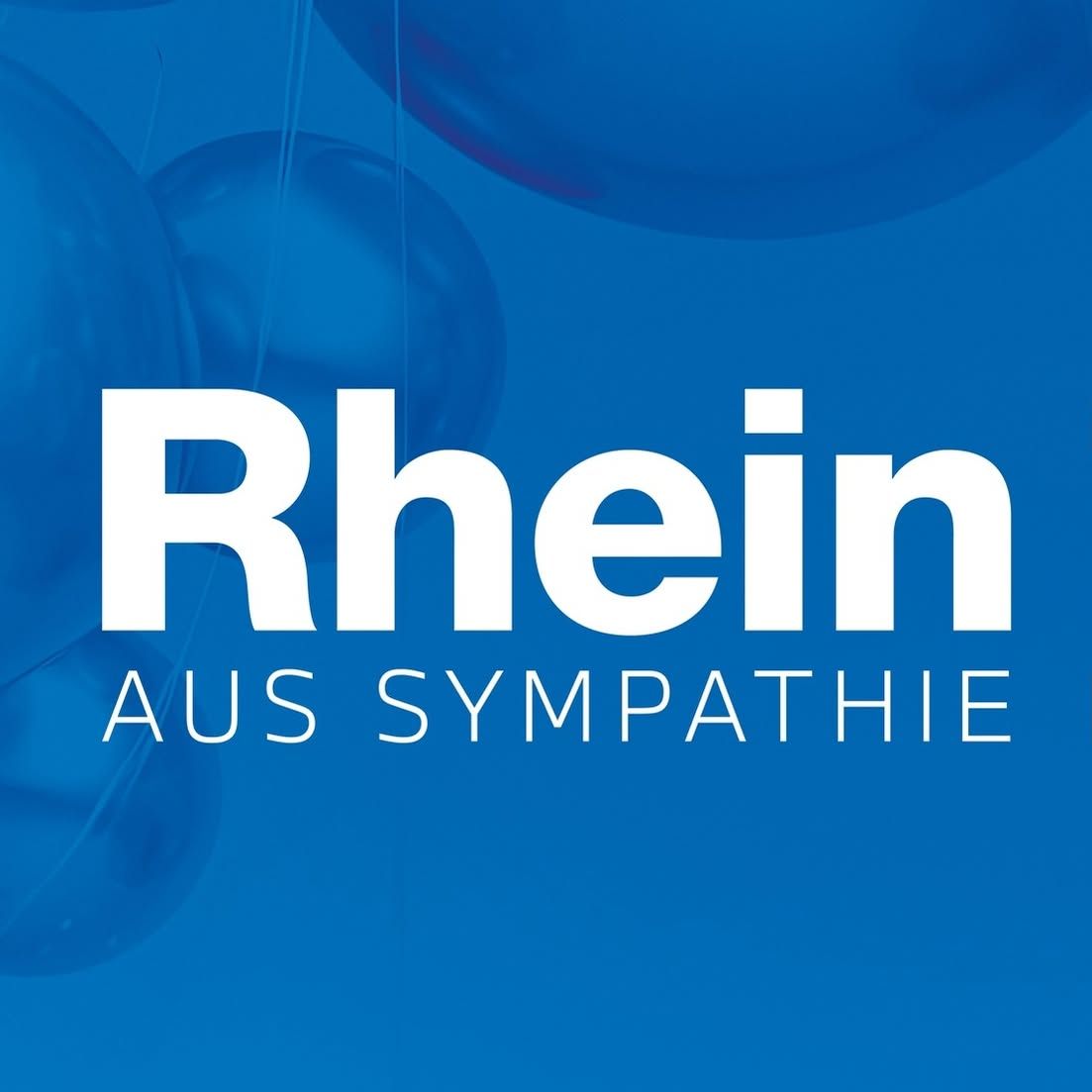 Rhein Gruppe logo