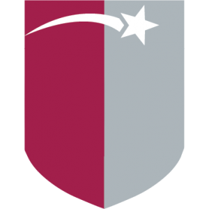 Performance Academies logo
