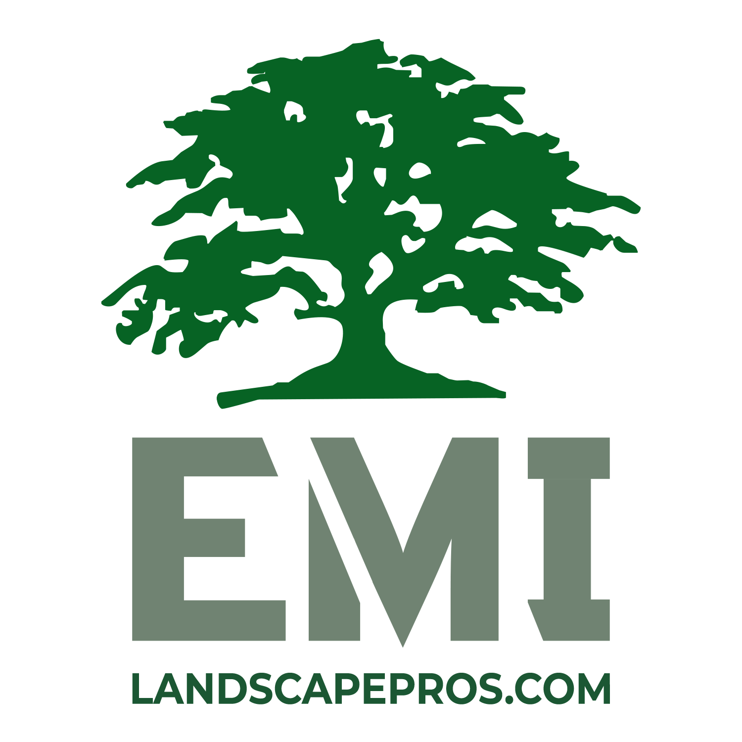 Environmental Management logo
