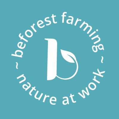 Beforest logo