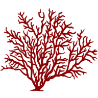 Long Cove Club logo