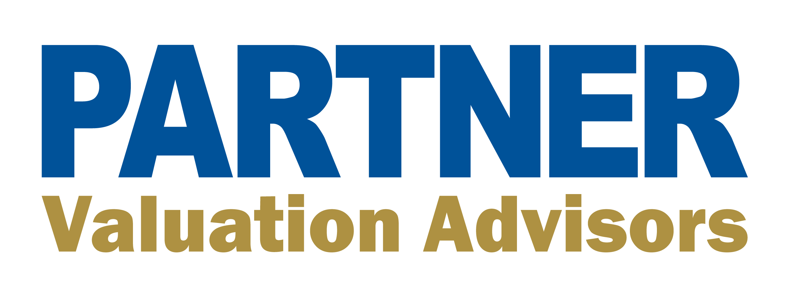 Partner Valuation Advisors logo