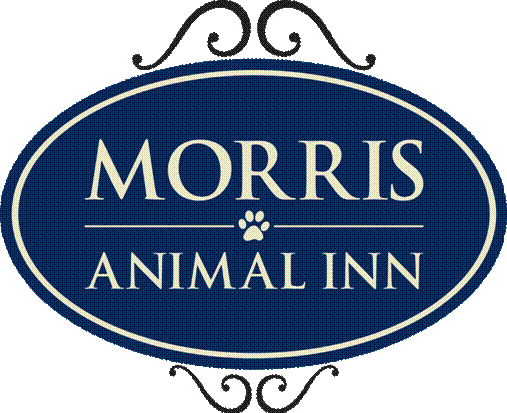Morris Animal Inn logo
