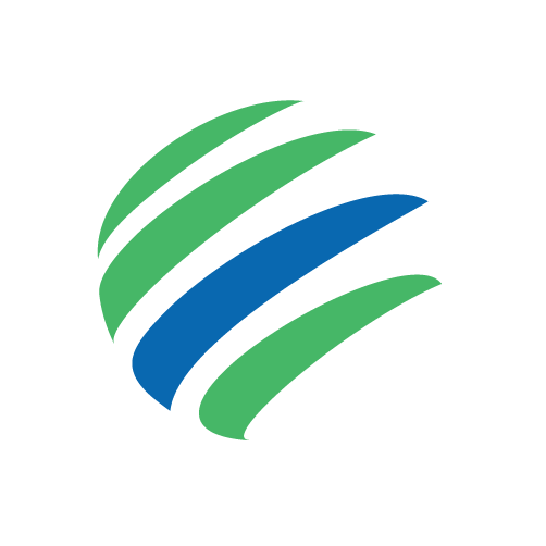 FLS Group logo
