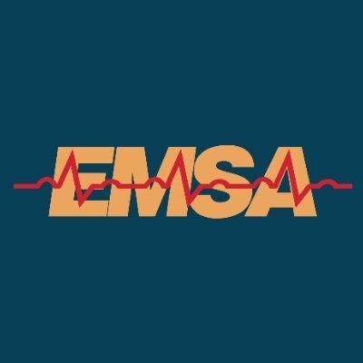 EMSA logo