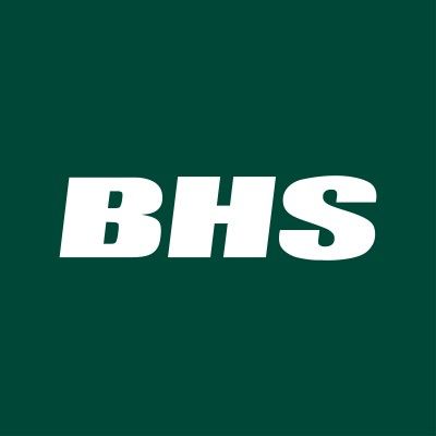 Bulk Handling Systems logo