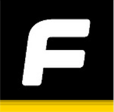 Finning International logo