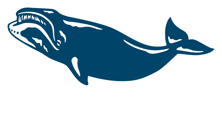 Bowhead logo