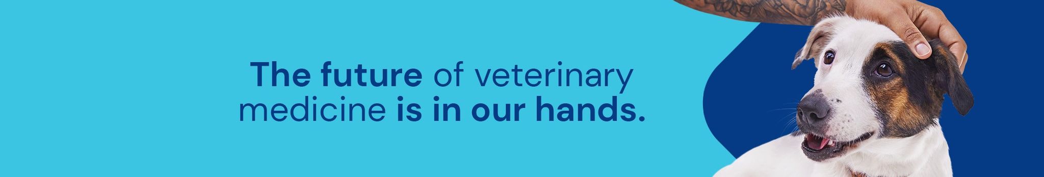 VCA Animal Hospitals logo