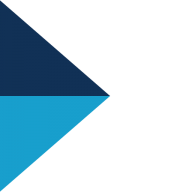 Advantage Insurance logo