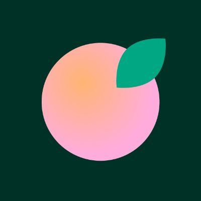 Nectar Social logo