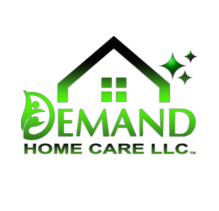 Demand Home Care logo