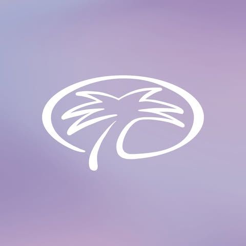 Palm Beach Tan logo