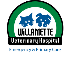 Wilvet logo