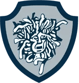 Aegis Protective Services logo