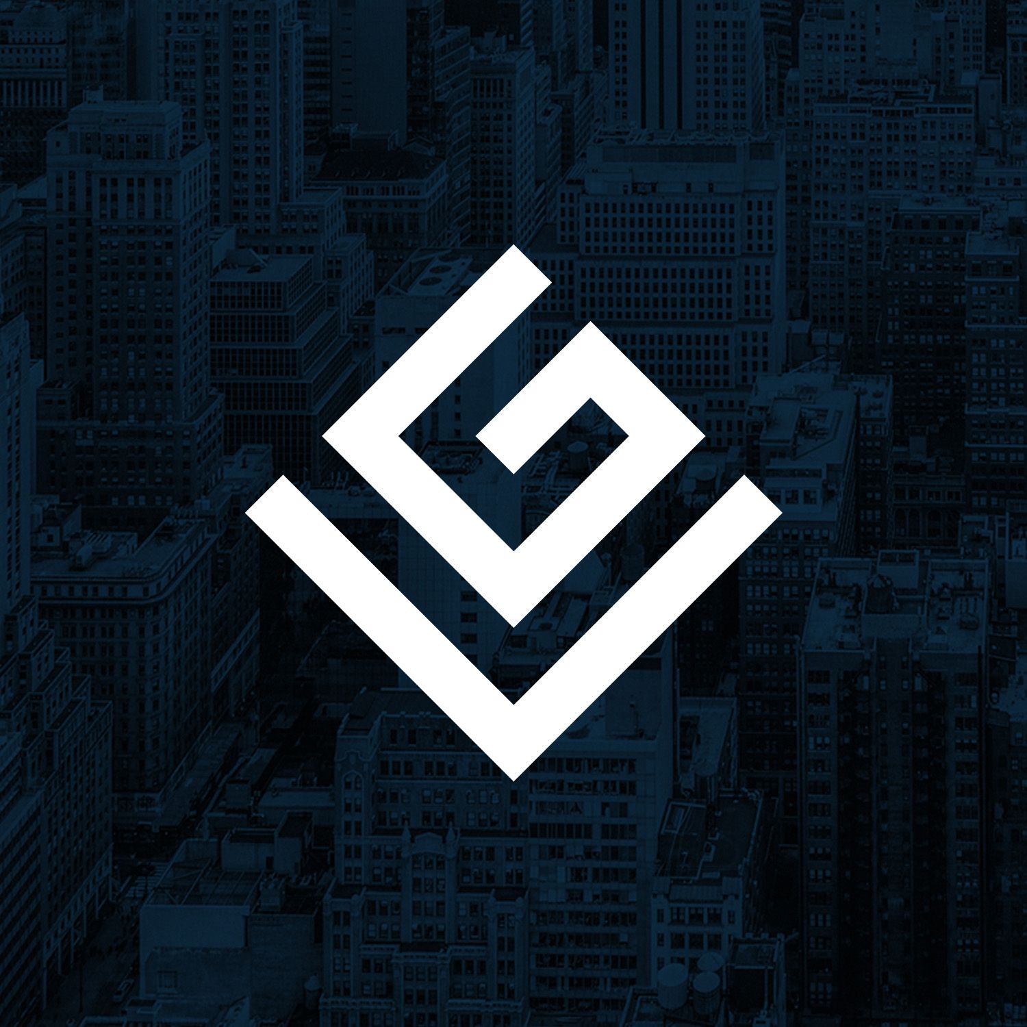 Leverage Companies logo