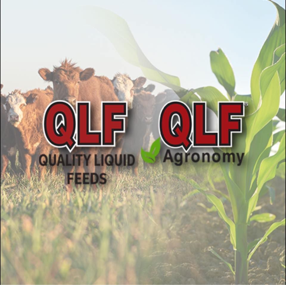 QLF logo