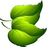 Villas of Holly Brook and Reflections logo